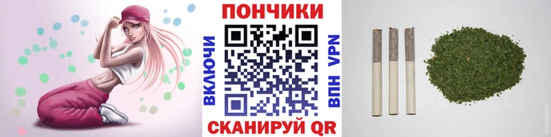 Шишки марихуана сатива  Западная Двина 